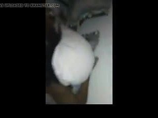 유엔 Marocain의 BAISE 단한 남아 프리카 PUTE 카사 블랑카