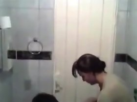 Hidden Cam Lavatory Lovemaking