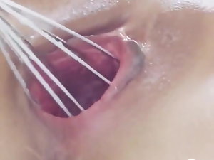 Gracioso