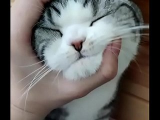 好吧好吧