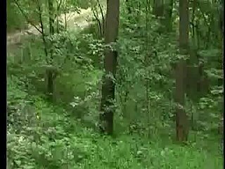 Jebacina na Avali Serbia-Srpski Dengan KRMANJONAC